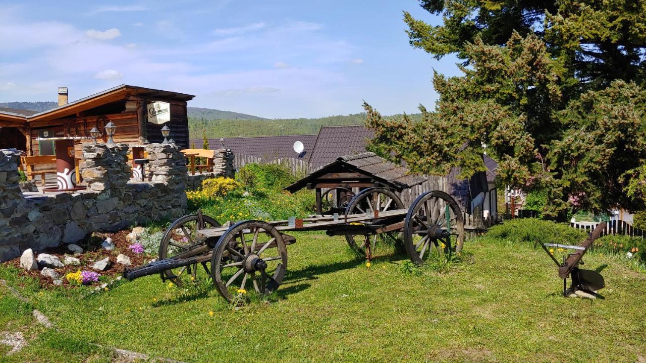 Pod Hradom Restaurant & Pension Topoľčany Buitenkant foto