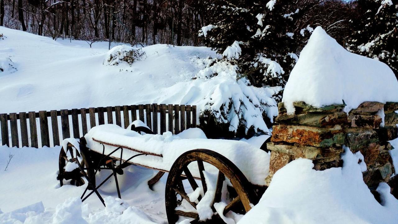 Pod Hradom Restaurant & Pension Topoľčany Buitenkant foto